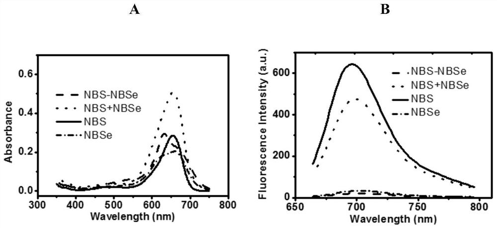 Fluorescence-oriented superoxide enhanced photosensitizer dye based on benzophenothiazine dimer as well as preparation method and application thereof