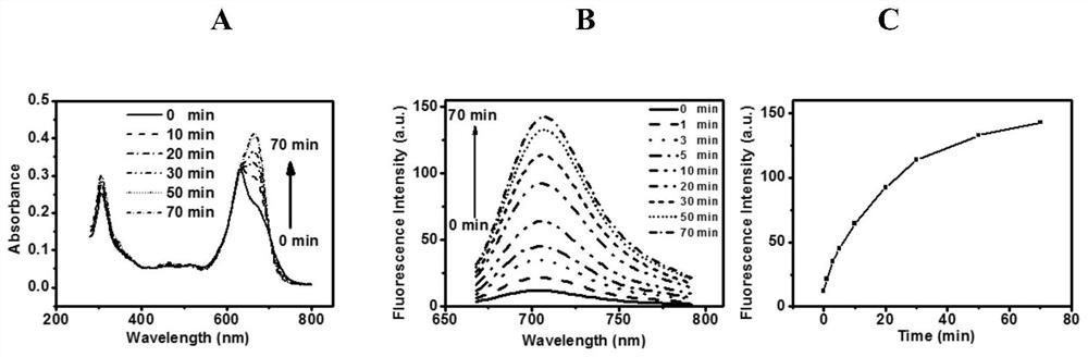 Fluorescence-oriented superoxide enhanced photosensitizer dye based on benzophenothiazine dimer as well as preparation method and application thereof