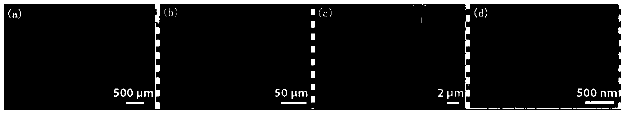 Aerogel, preparation method thereof and application of aerogel as solar evaporator