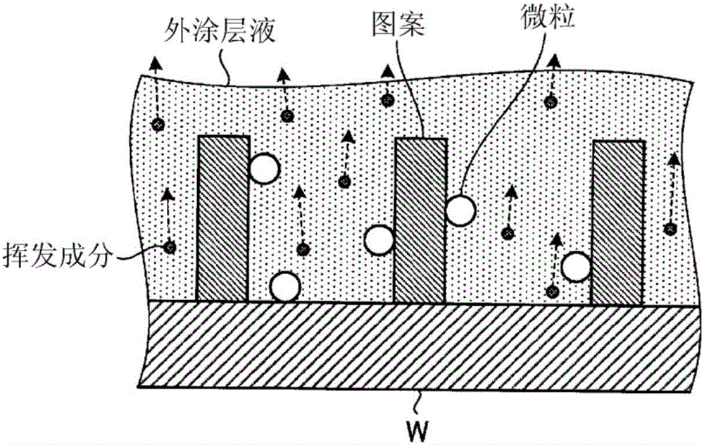 Substrate cleaning apparatus and substrate cleaning method