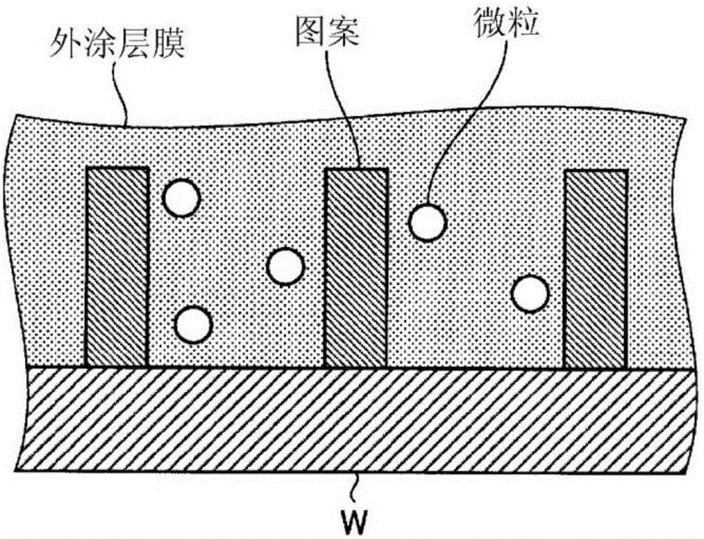 Substrate cleaning apparatus and substrate cleaning method