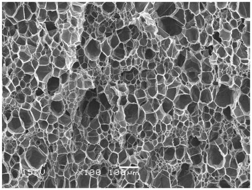 A kind of thermoplastic polymer foam beads and preparation method thereof