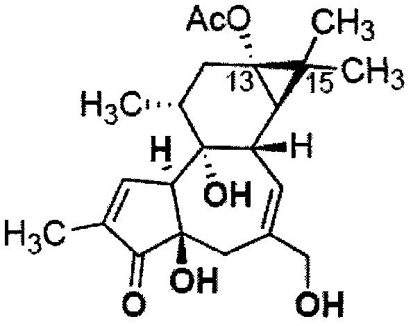 Method of induction and tissue culture for adventitious roots of Euphorbia fischeriana