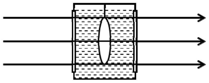 Polarization characteristic detection device and detection method for non-planar transparent element