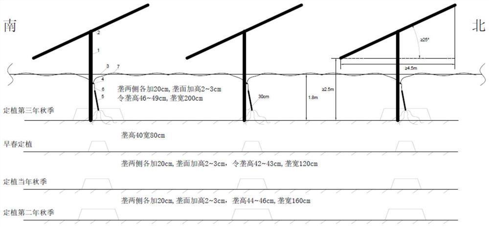 Method for cultivating kiwi fruits by utilizing photovoltaic power plant