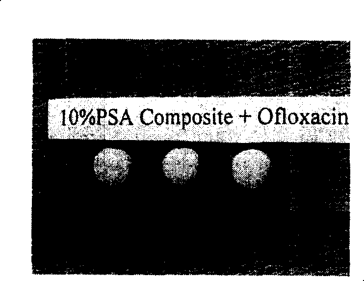 Medicine for treating osteomyelitis and preparation thereof