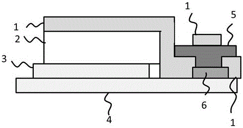 Parallel structure and preparation of flexible TFT drive bottom-emitting OLED/PLED (organic/polymer light-emitting diode)