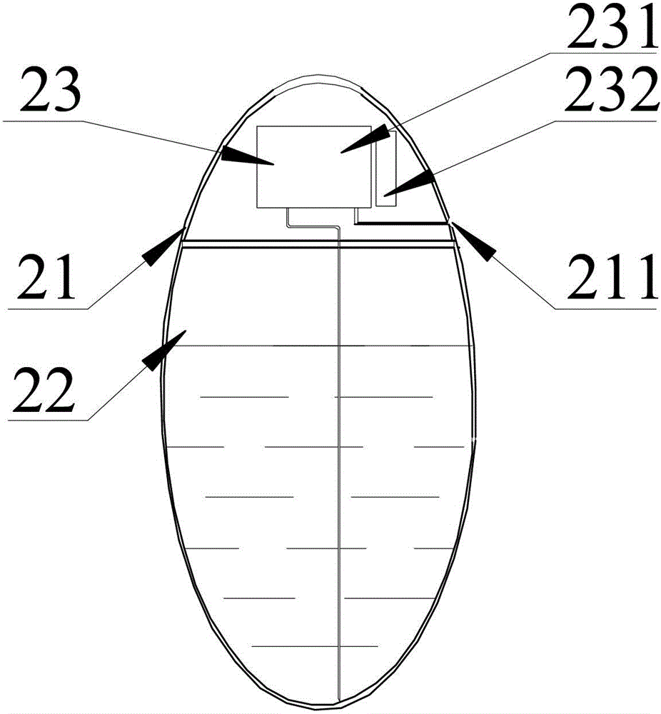 Testicular prosthesis