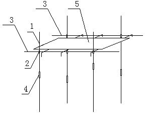 Scaffold