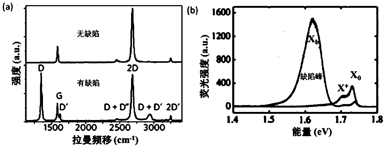 Method for representing defect of two-dimensional material and application thereof