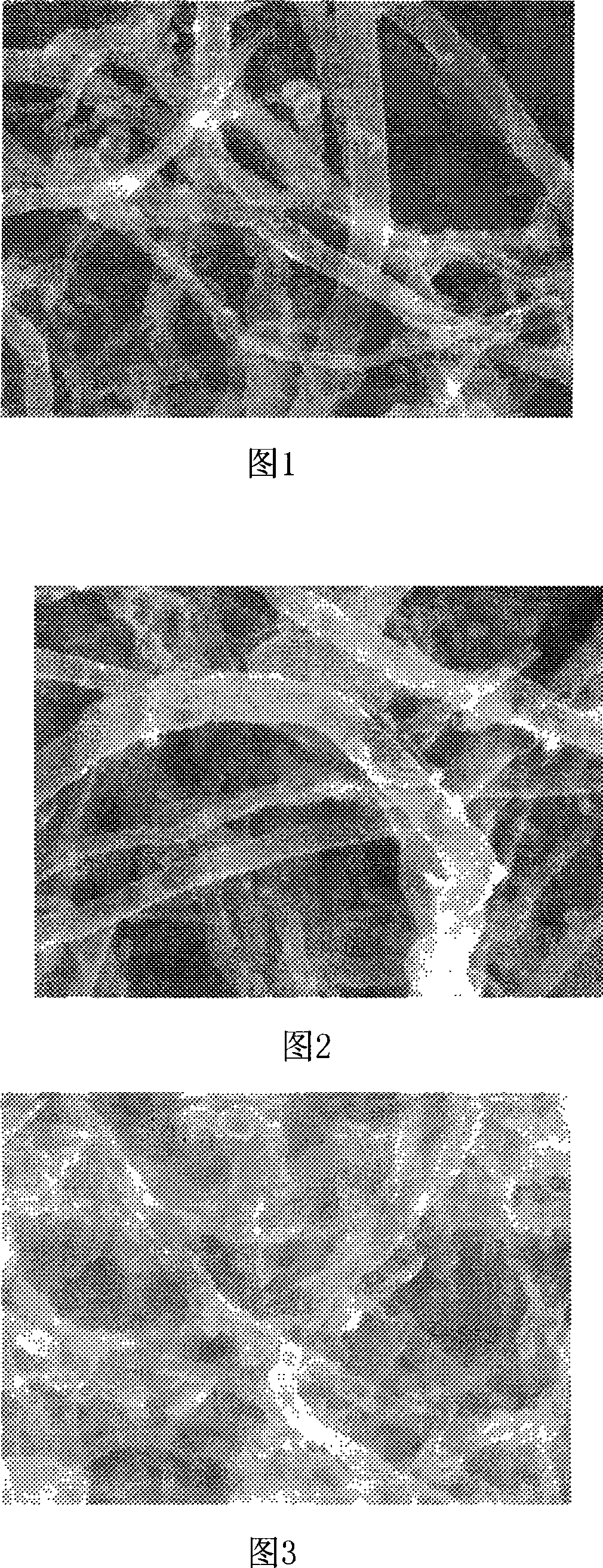 Preparing method of nanometer particle carbon nanotube compound catalyst