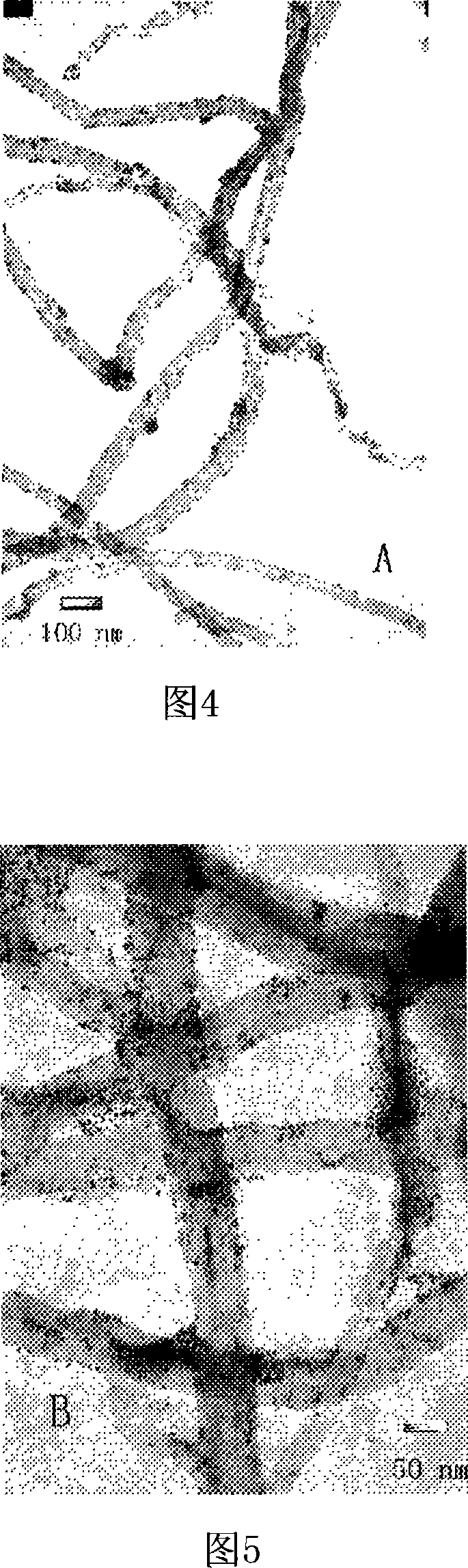 Preparing method of nanometer particle carbon nanotube compound catalyst