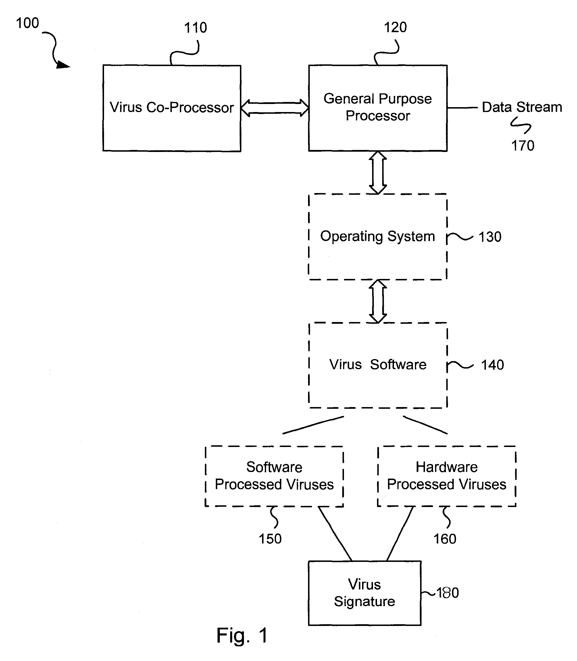 Virus co-processor instructions and methods for using such