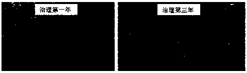 Method for treating salinized grassland by using yellow corn silage straws