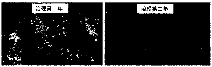 Method for treating salinized grassland by using yellow corn silage straws