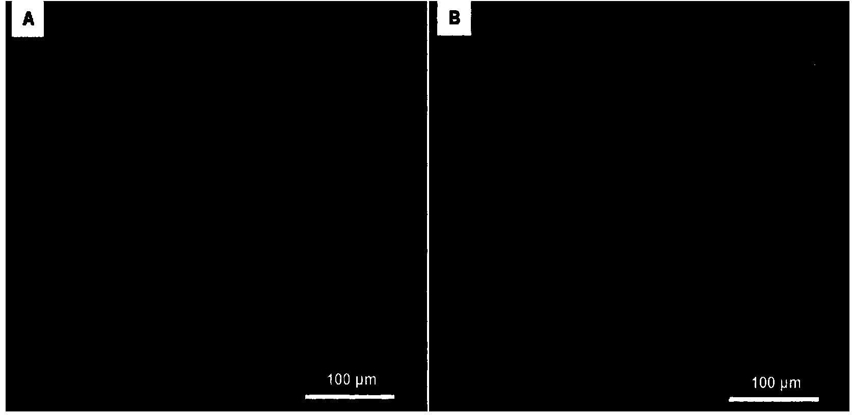 Tissue-engineered artificial bone and building method thereof