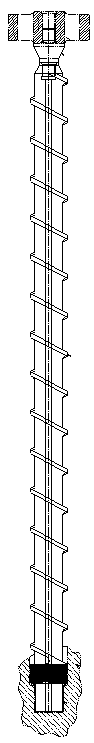 Rumination type extruder and rumination extrusion method