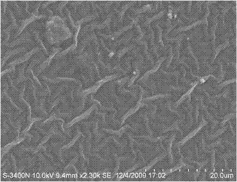 Collagen gel and preparation method thereof