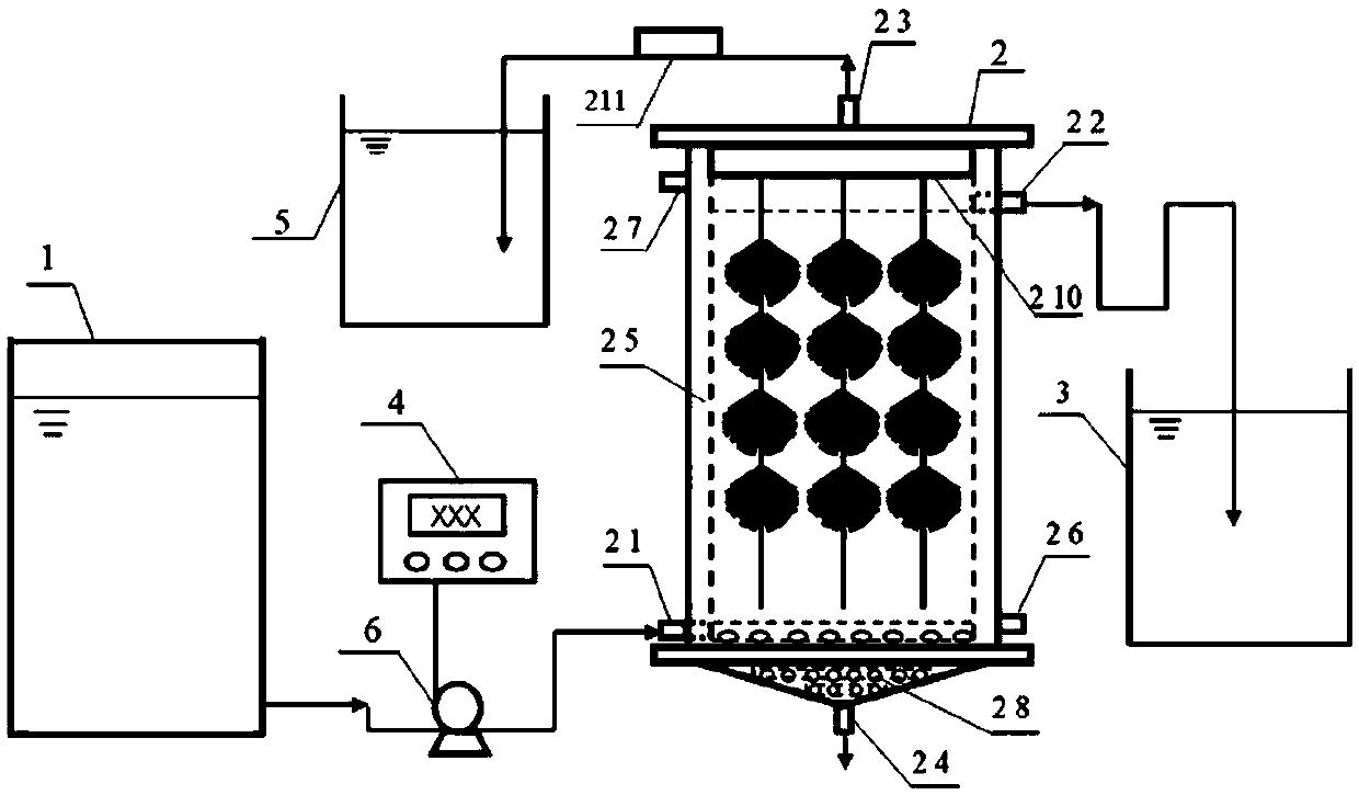 Method and device for enriching anaerobic ammonium oxidizing bacteria based on modified basalt fiber filler