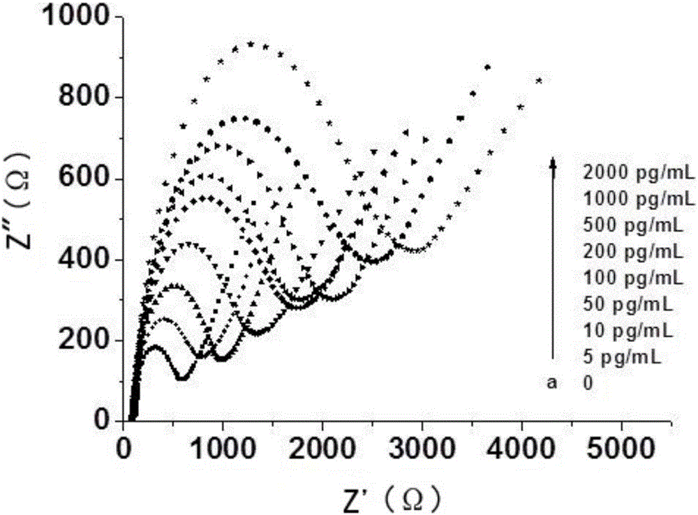 Aptamer sensor for mercury ion detection, as well as preparation method and application of aptamer sensor