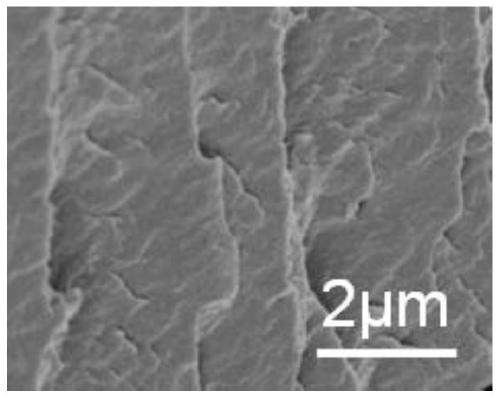 Preparation method and application of vertically-oriented magnetic nanosheet/sodium alginate composite membrane