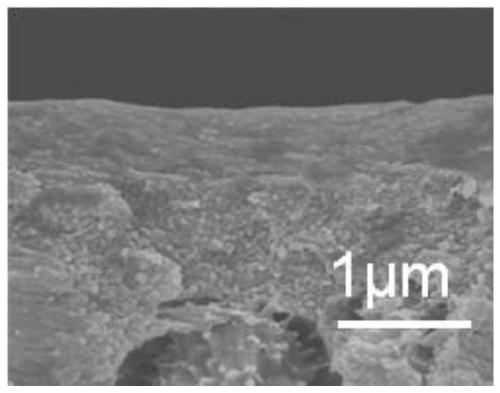 Preparation method and application of vertically-oriented magnetic nanosheet/sodium alginate composite membrane