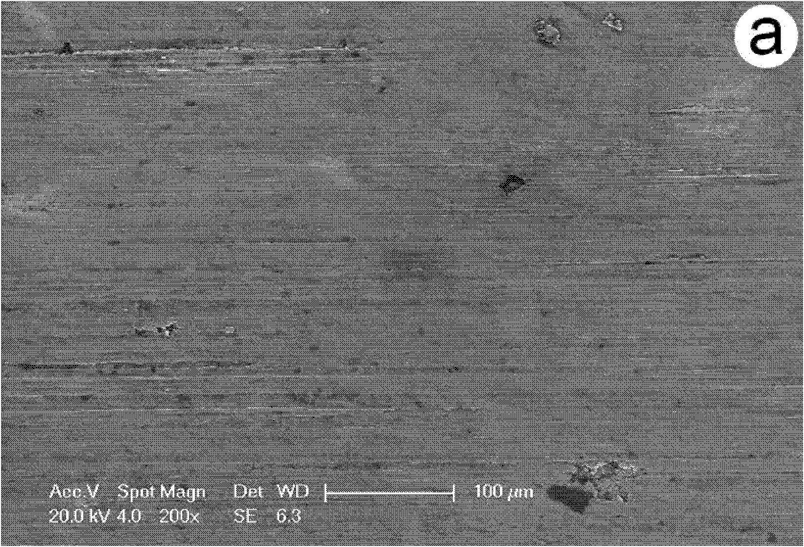 TiAl intermetallic compound-based solid seif-lubricating composite material and preparation method thereof