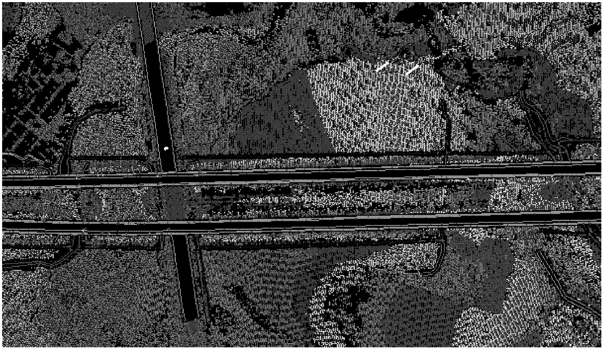 Fine digital terrain model based road surveying method