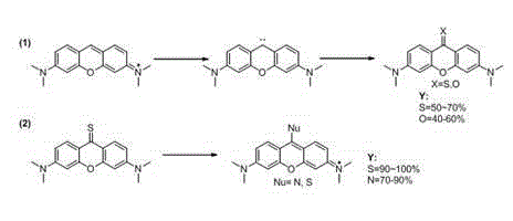 Synthetic method of pyronine derivative dye