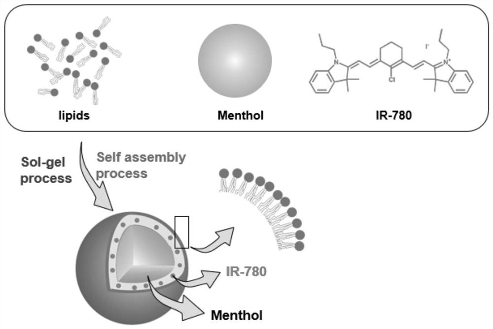 A composite nano-diagnosis and treatment preparation and its preparation method