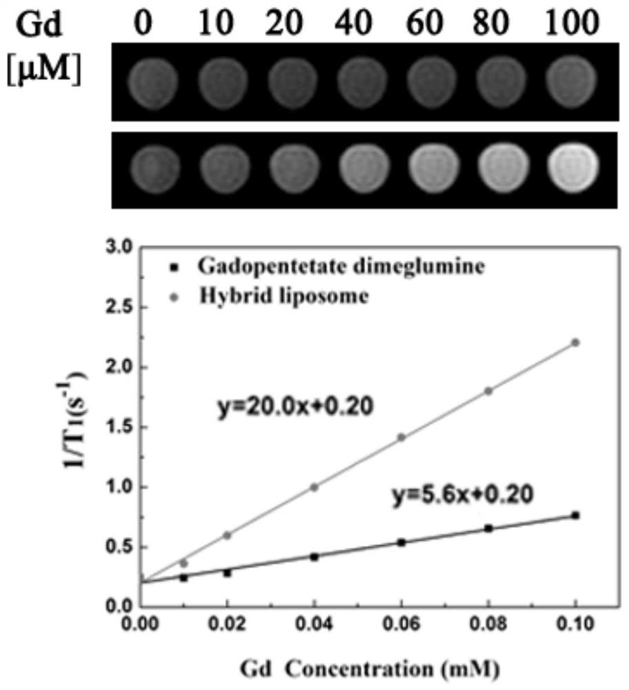 A composite nano-diagnosis and treatment preparation and its preparation method