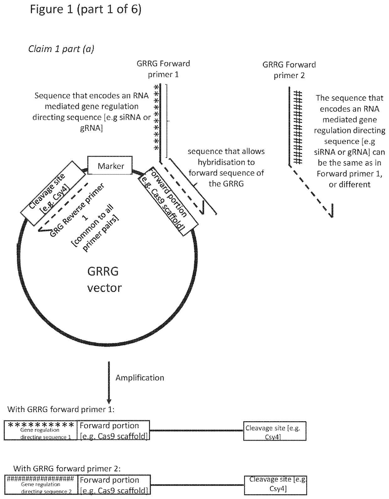 RNA mediated gene regulating methods