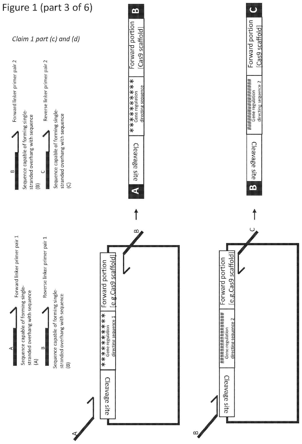 RNA mediated gene regulating methods