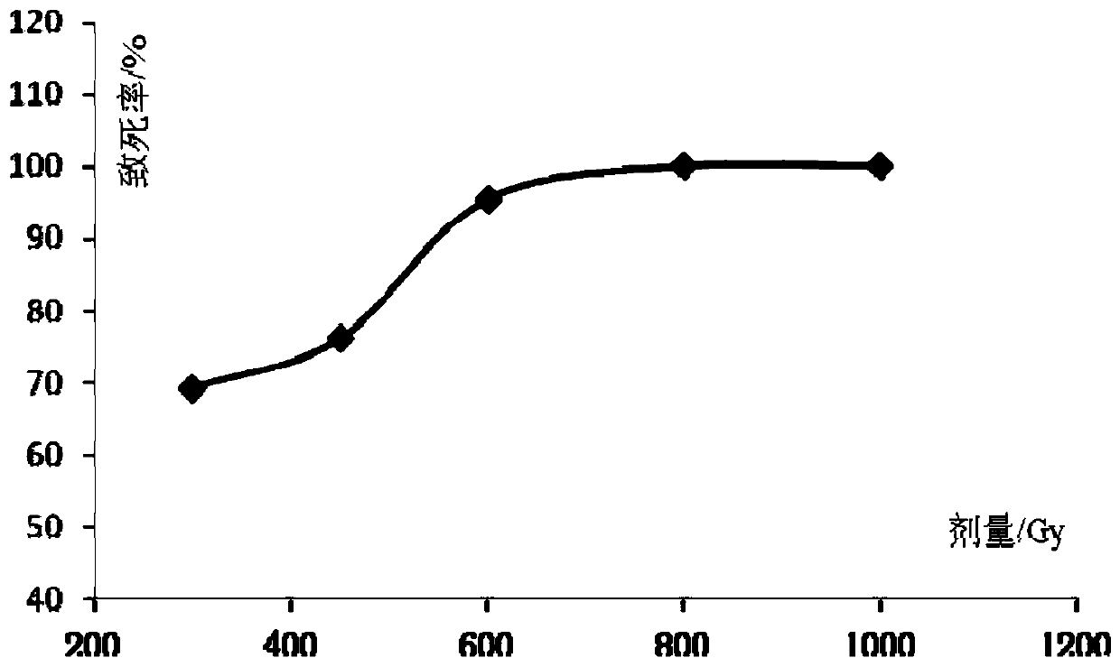 High-yield tacrolimus streptomycete mutant strain and application thereof