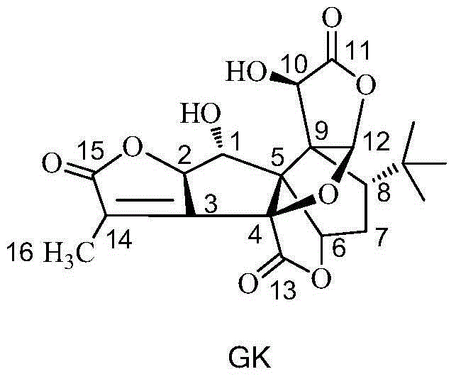 Bilobalide K derivative and preparation method and application thereof