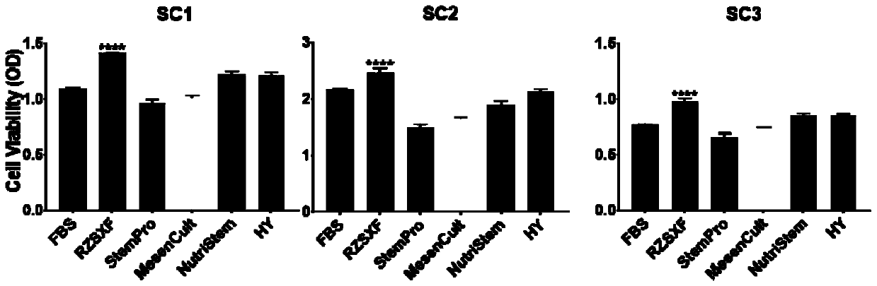 Human stem cell RZSXF-SC and establishing method and application thereof