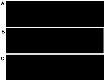 Method for improving Sudan red I detection kit