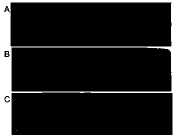 Method for improving Sudan red I detection kit