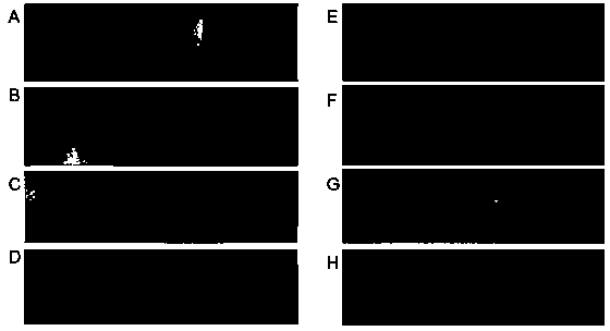 Method for improving Sudan red I detection kit