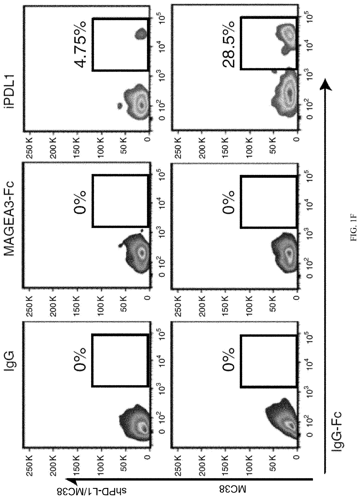 Engineered oncolytic viruses expressing pd-l1 inhibitors and uses thereof