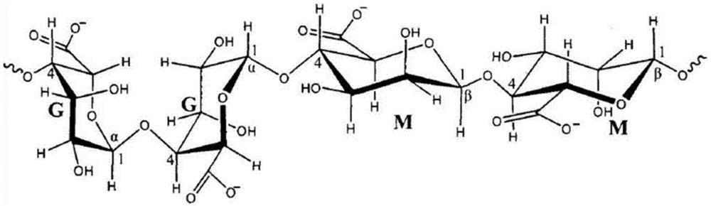 Alginate fiber and dyeing method thereof