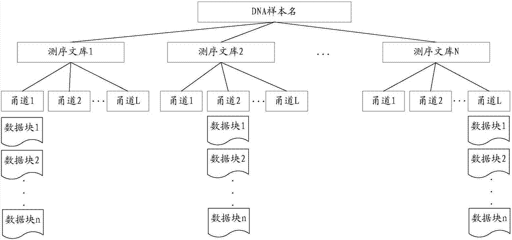 DNA sequence processing method and apparatus