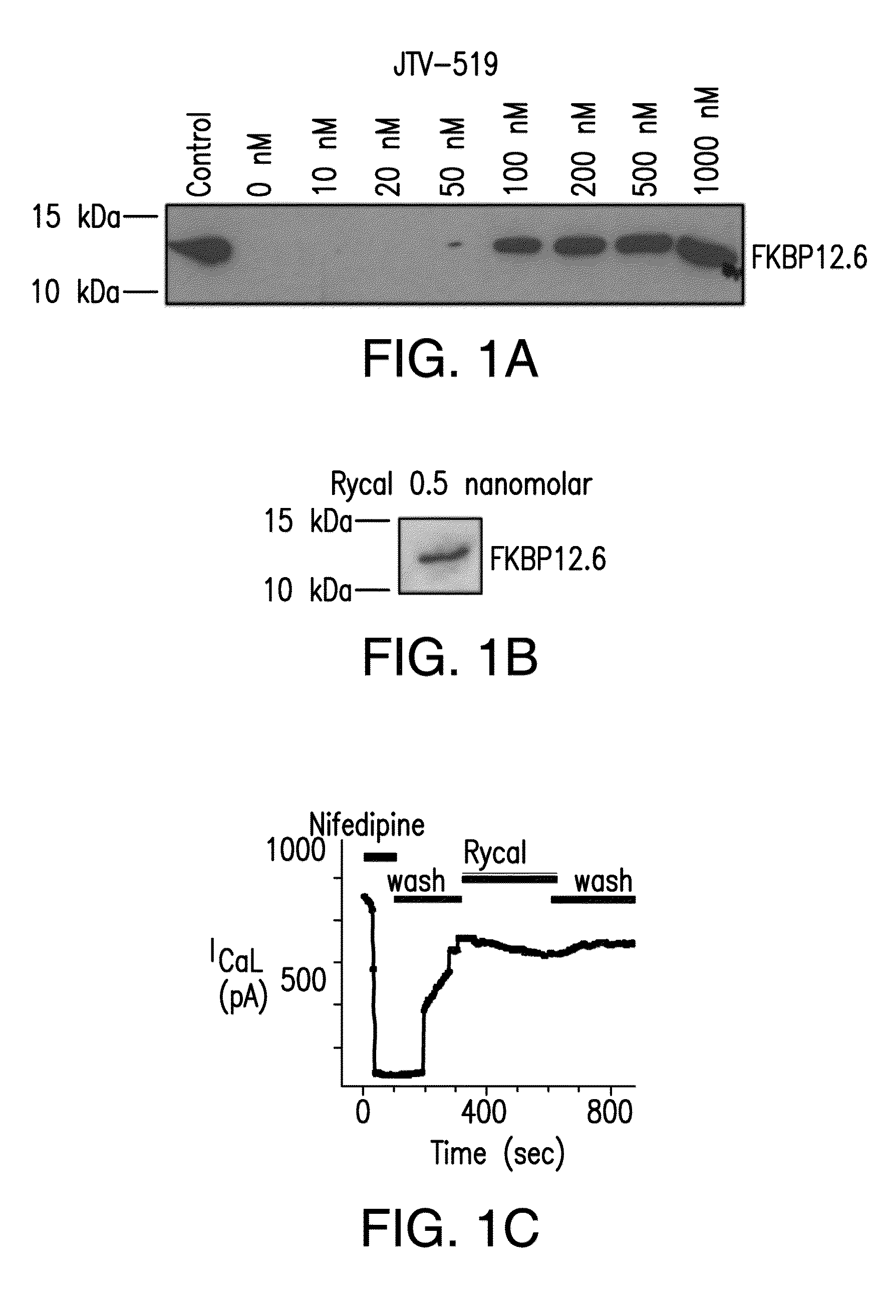 Agents for preventing and treating disorders involving modulation of the ryanodine receptors