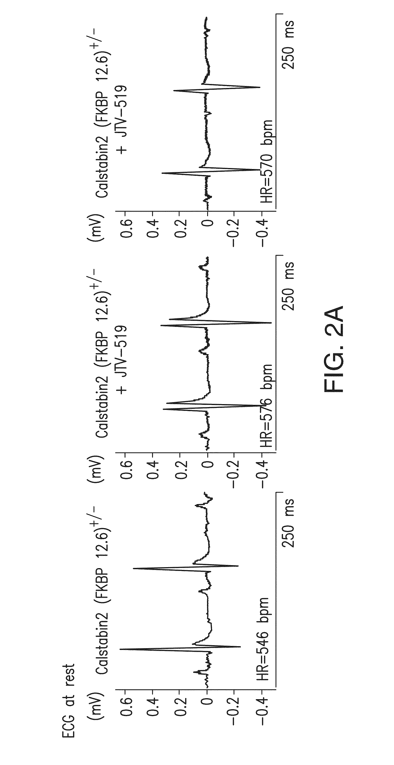 Agents for preventing and treating disorders involving modulation of the ryanodine receptors