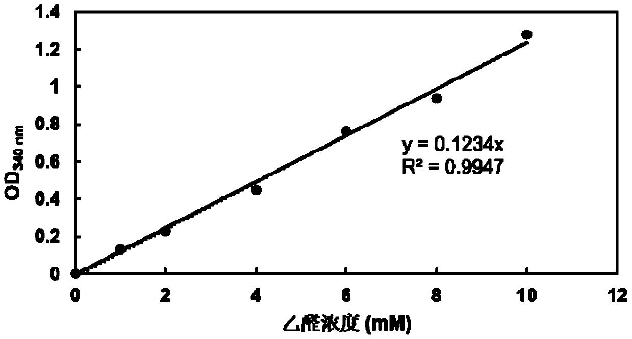 High-throughput rapid screening method for L-threonine transaldolase mutant