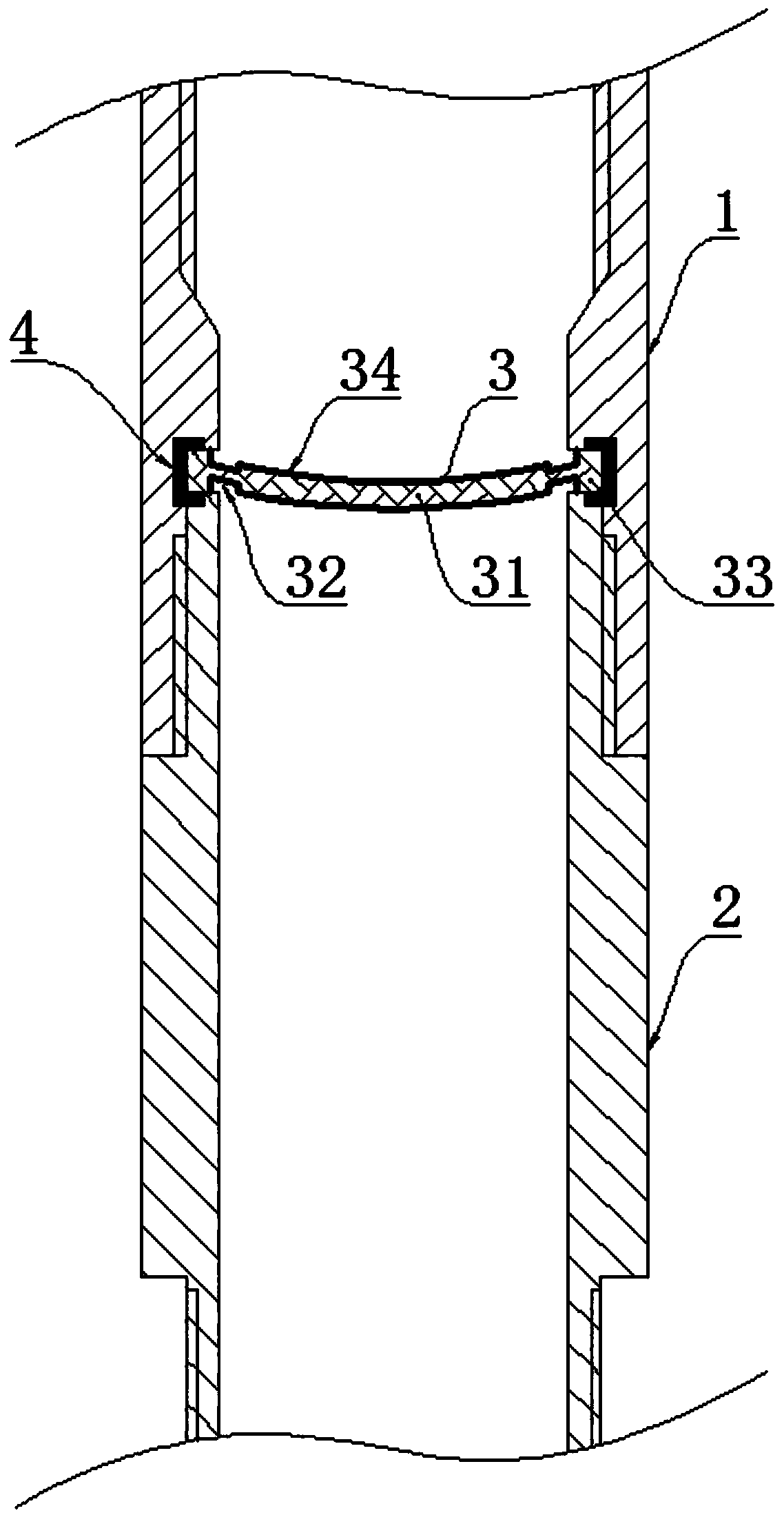 Soluble tail tube plug