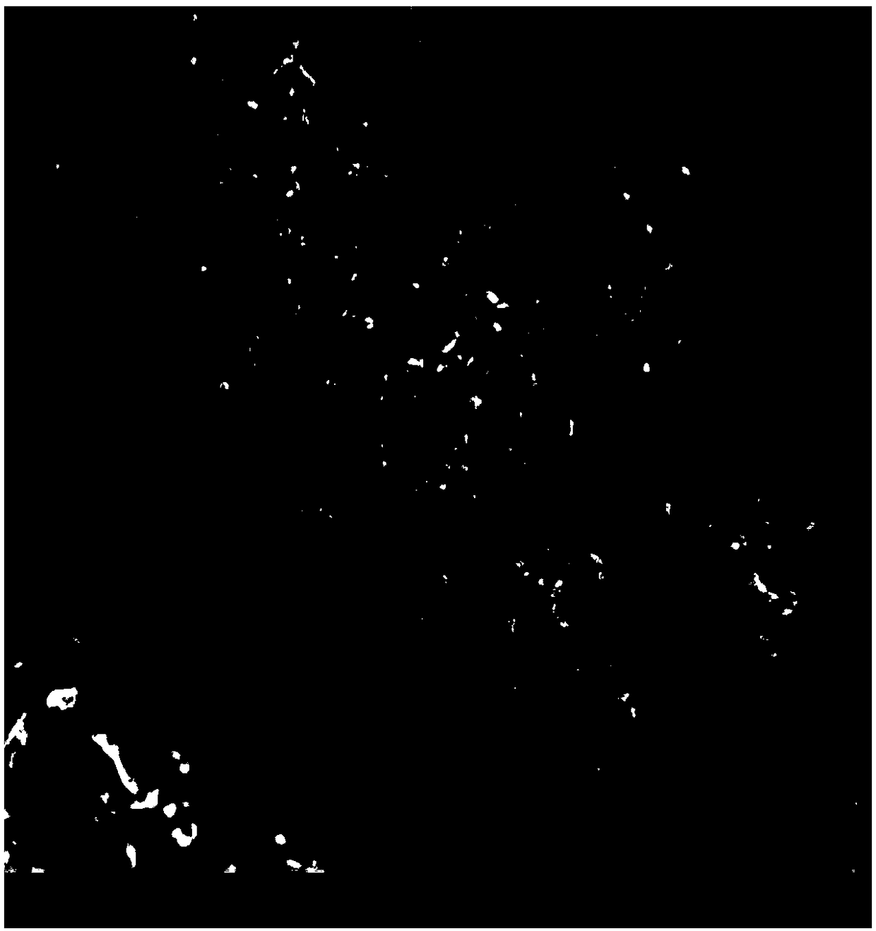 Preparation method of aluminum sludge ceramsite