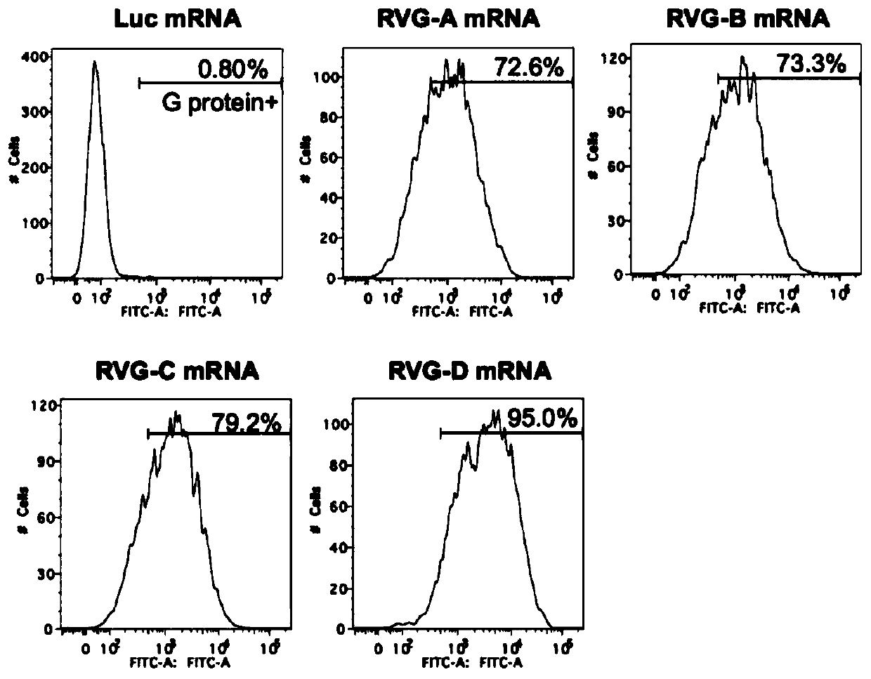 mRNA rabies vaccine