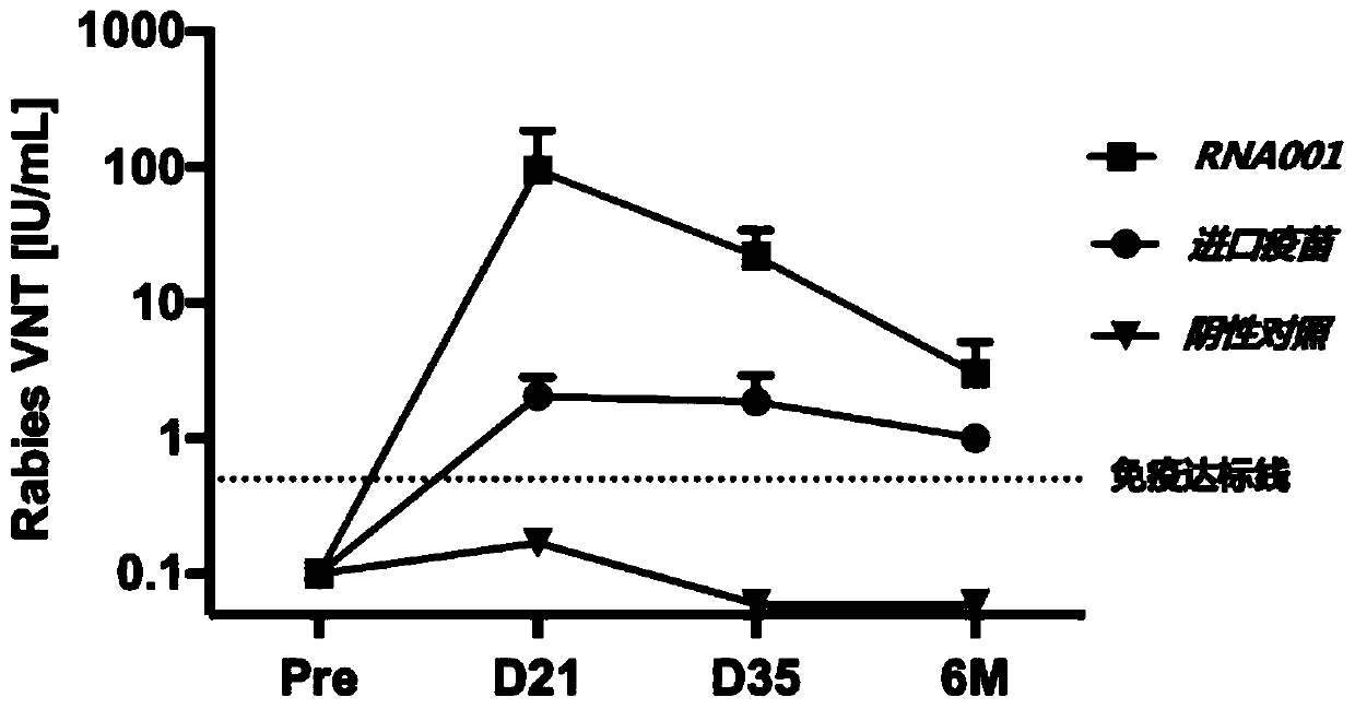 mRNA rabies vaccine