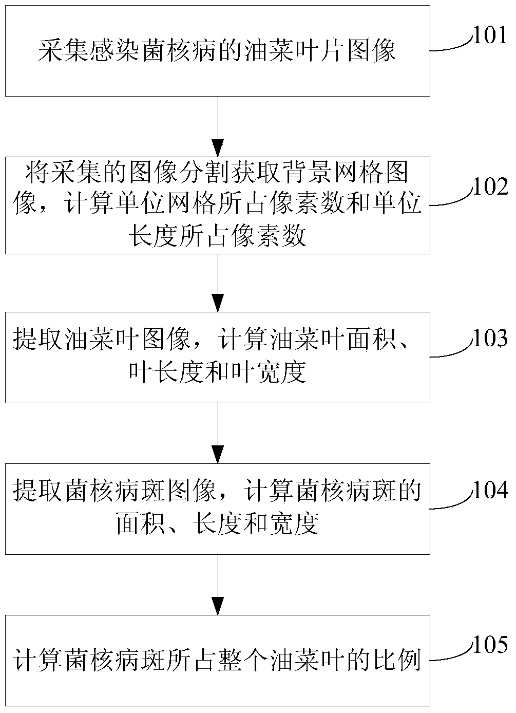 Method, device and system for measuring oilseed rape laminae and forms of sclerotium scabs synchronously